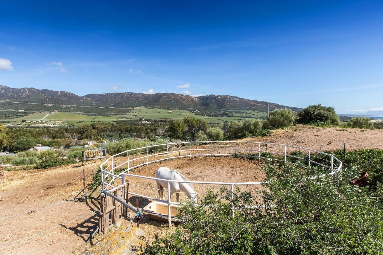 Casita rural en Centro de Hípica Tarifa Exterior foto